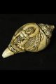 Conque Tibétaine Bouddha Akshobhya mes indes galantes