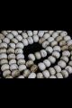 Conque 20mm