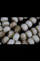 Conque 20mm
