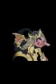 Gatot Kaca Mes Indes Galantes Paris