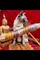 bracelet bouddhiste kumlai pas cher paris mes indes galantes