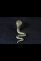 Serpent