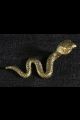 Serpent