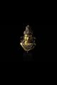 Shiva Mes Indes Galantes Paris