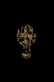Shiva Nataraja Mes Indes Galantes Paris